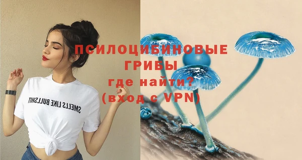 соль ск Себеж