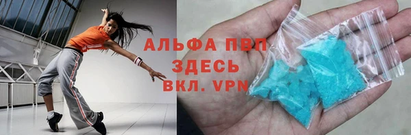 эйфоретик Болотное