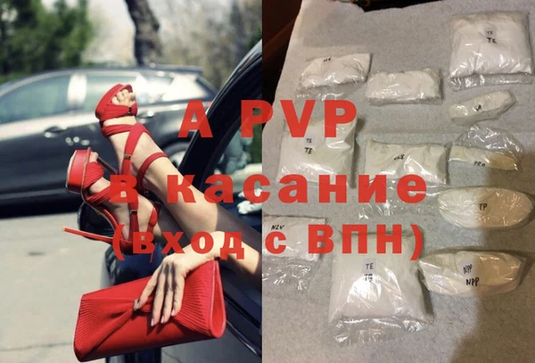 молекула духа Болхов