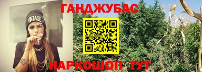 прущие крисы Изобильный