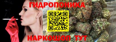 сатива Абакан