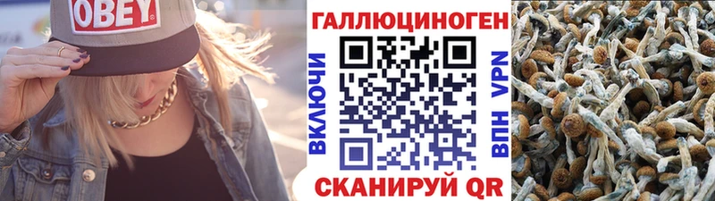 Галлюциногенные грибы мицелий  Ярцево 