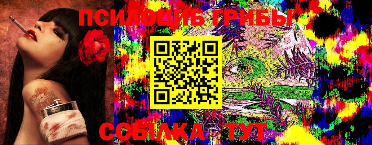 Ярцево  Псилоцибиновые грибы мицелий  Вход с VPN  наркота  Псилоцибиновые грибы ЛСД 